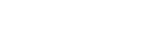 logo revelock